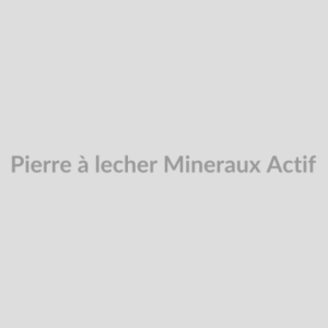 Pierre à lécher Minéraux Actif