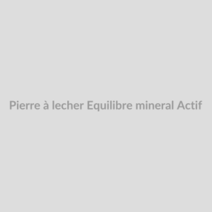 Pierre à lécher Equilibre minéral Actif